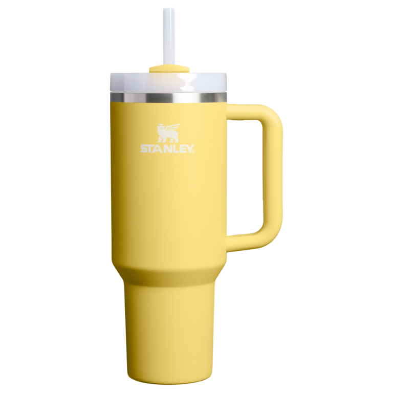 Stanley Quencher H2.0 FlowState 40 oz insulated travel tumbler with reusable straw and handle